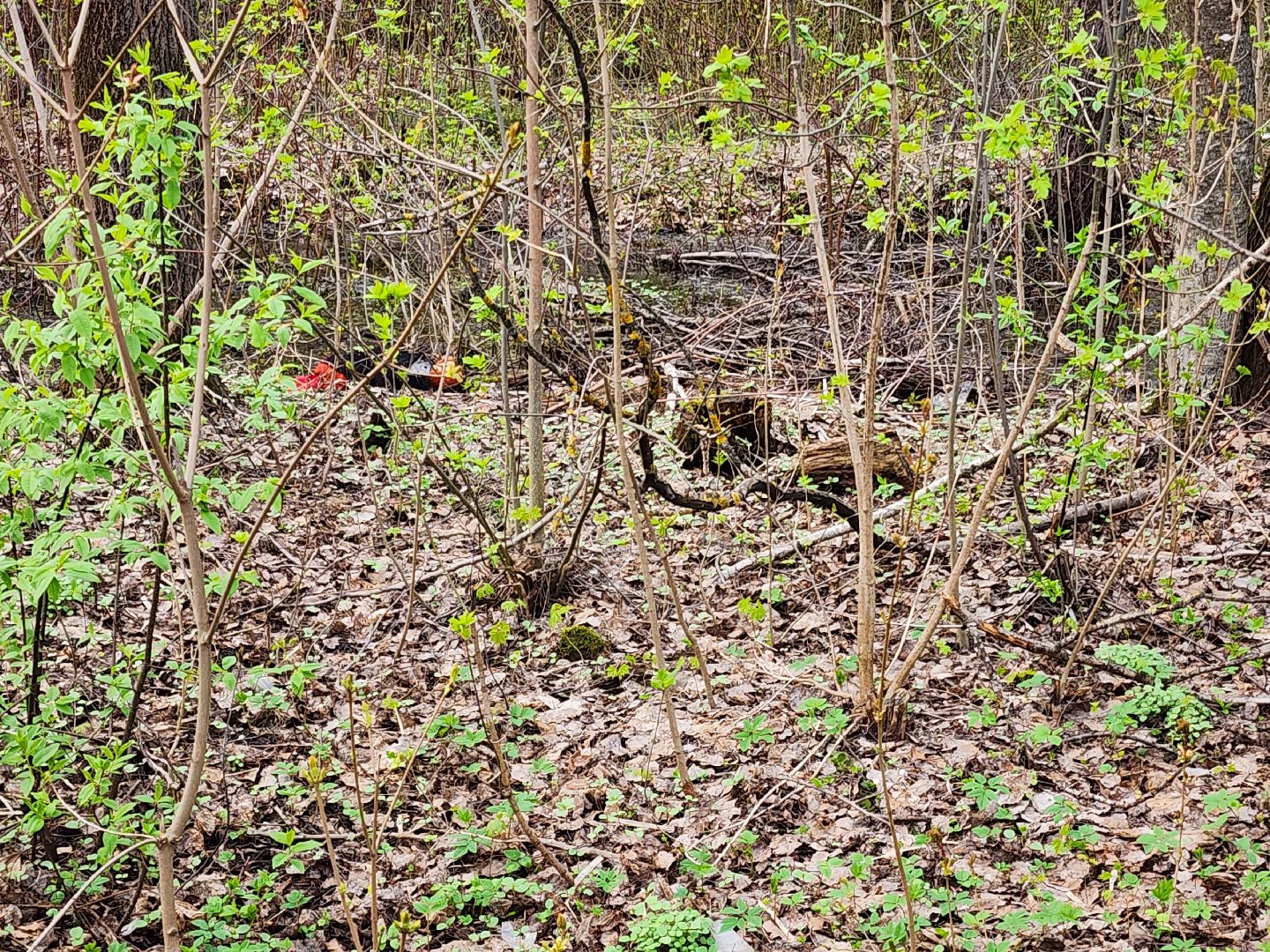 субботник, орехово-зуевский округ,
