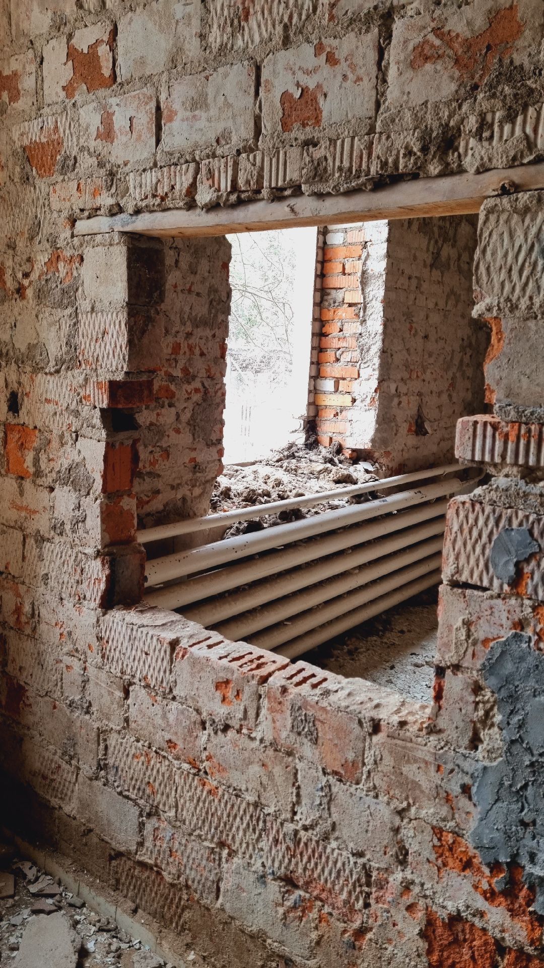 Подмосковье, Пушкино, Здравоохранение Подмосковья, капремонт