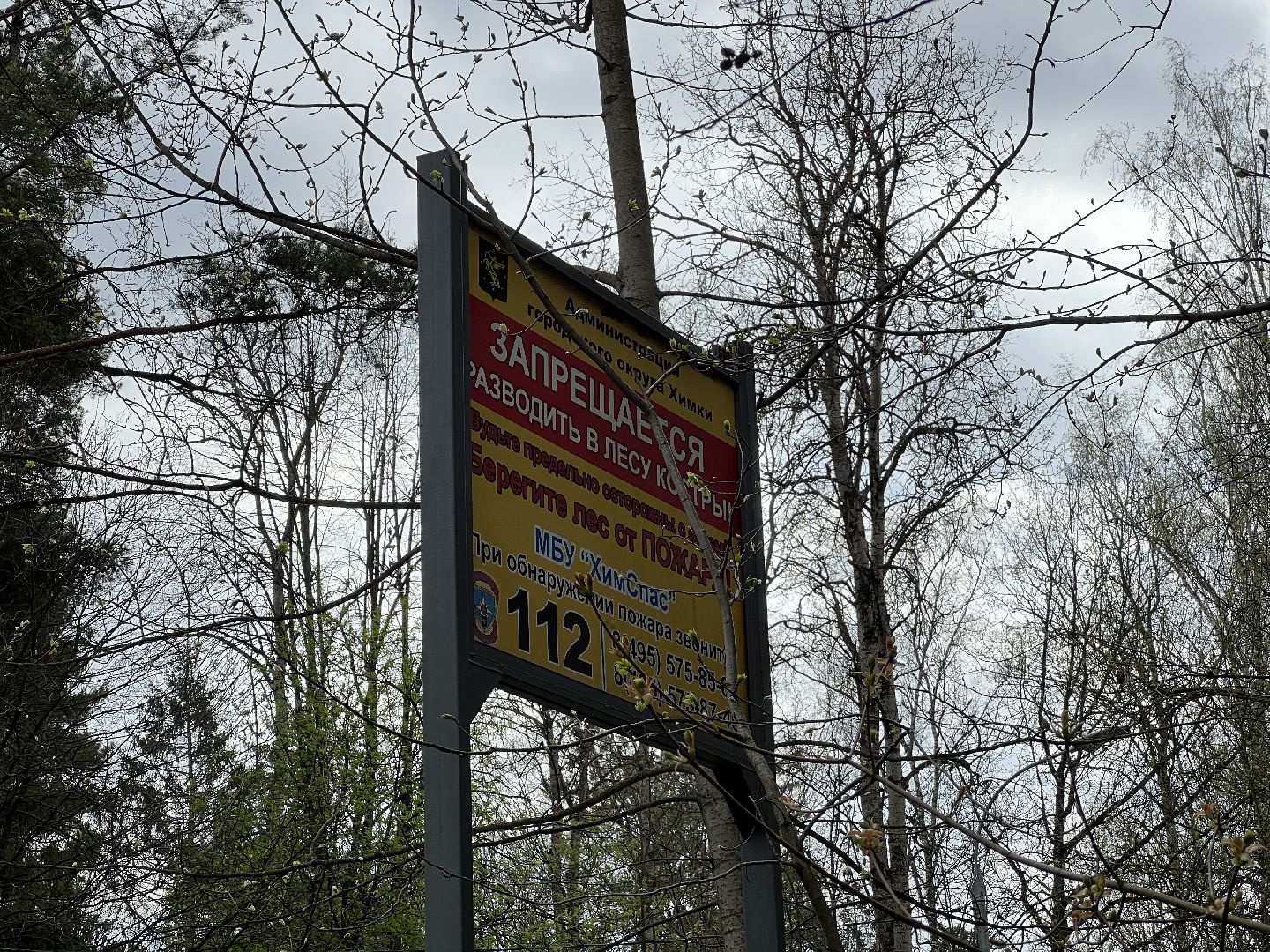 химки, зона отдыха, отдых на природе, пожарная безопасность,