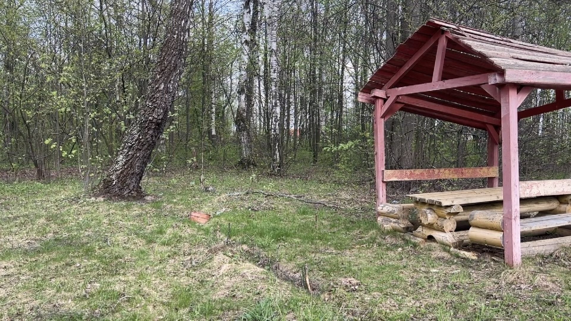 химки, отдых на природе, пожароопасный сезон, пожарная безопасность,
