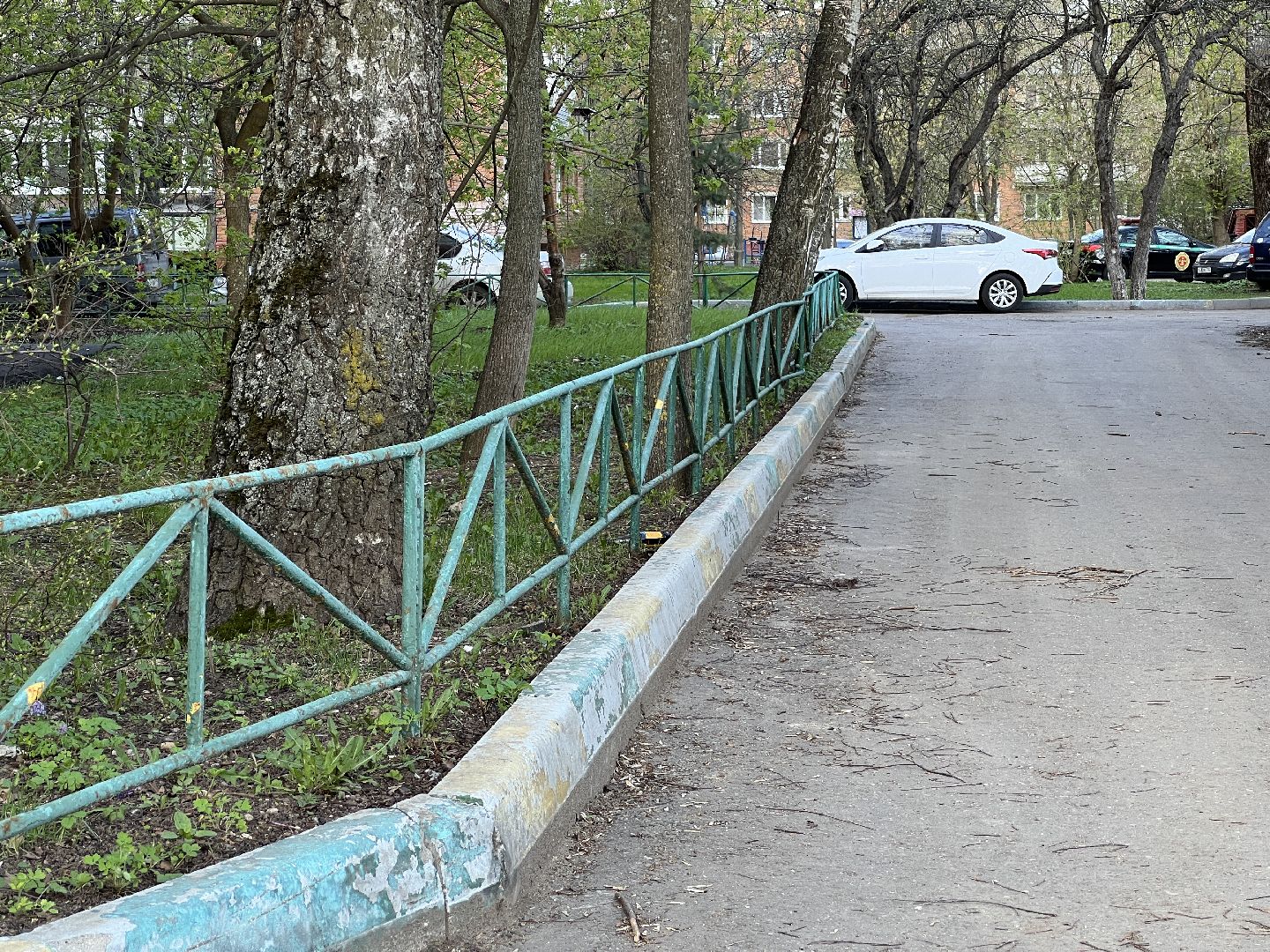 химки, благоустройство, выездная администрация, обращения жителей,