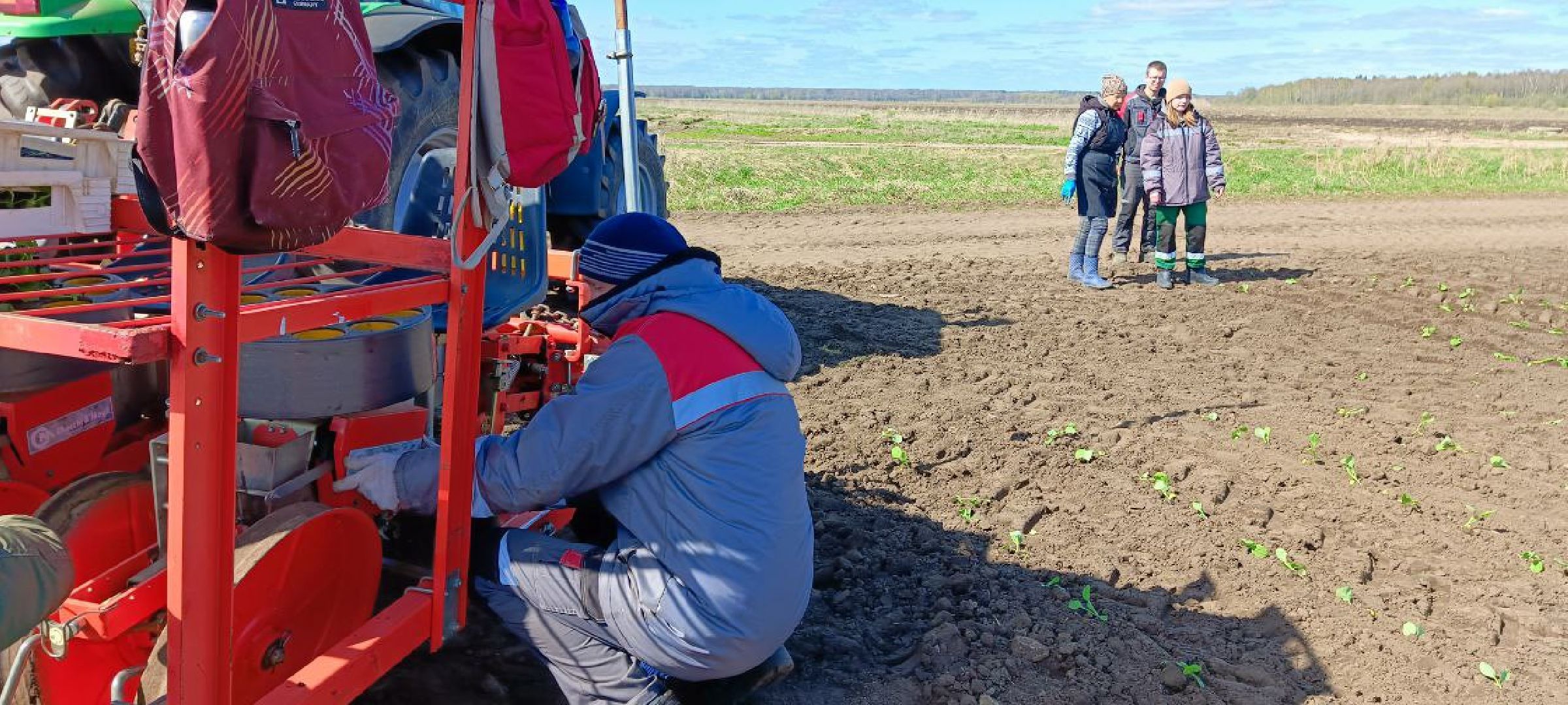 Дмитров, Агрохолдинг Дмитровские овощи,