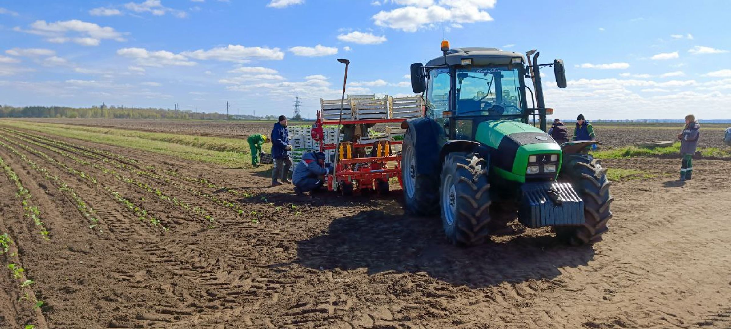 Дмитров, Агрохолдинг Дмитровские овощи,