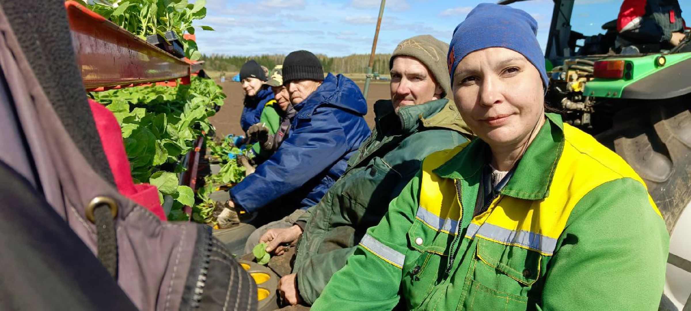 Дмитров, Агрохолдинг Дмитровские овощи,