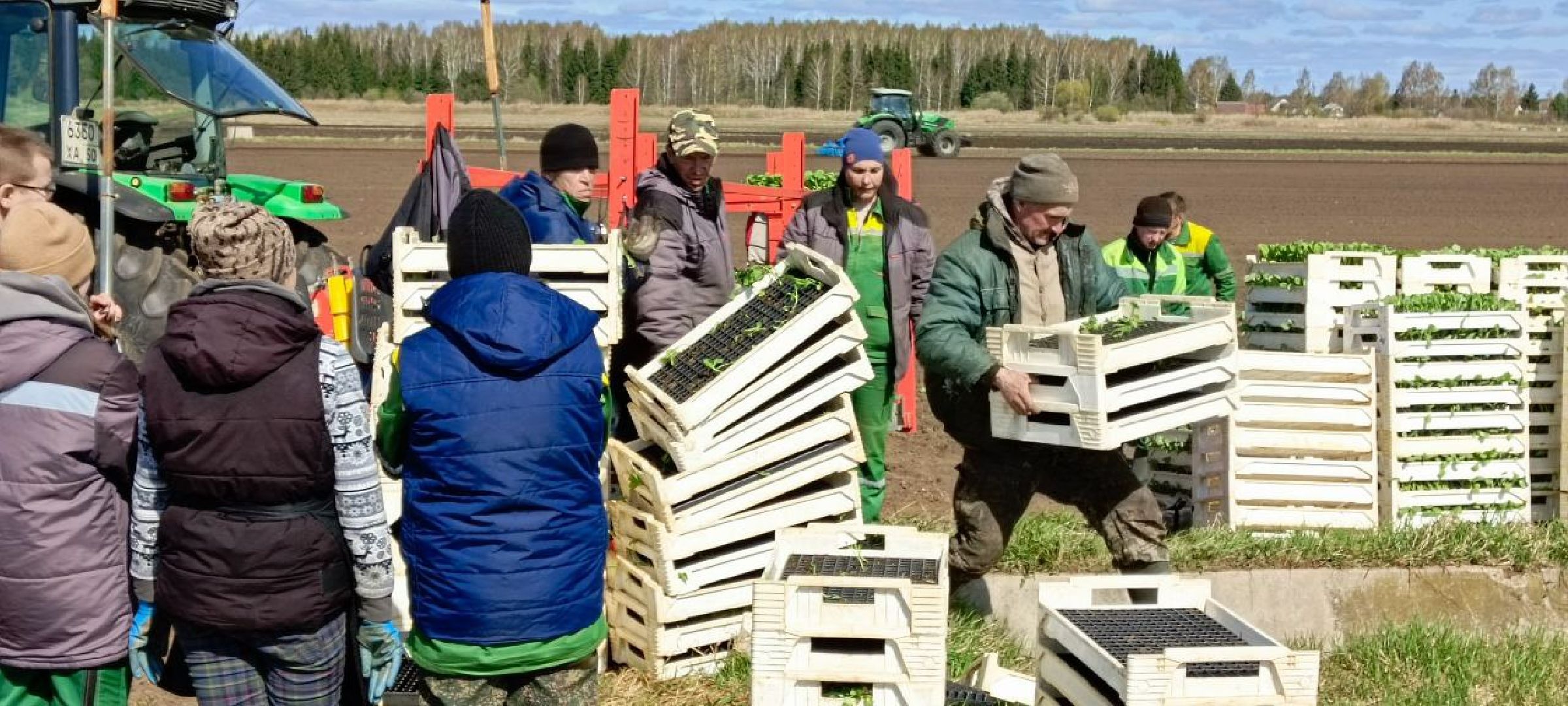 Дмитров, Агрохолдинг Дмитровские овощи,