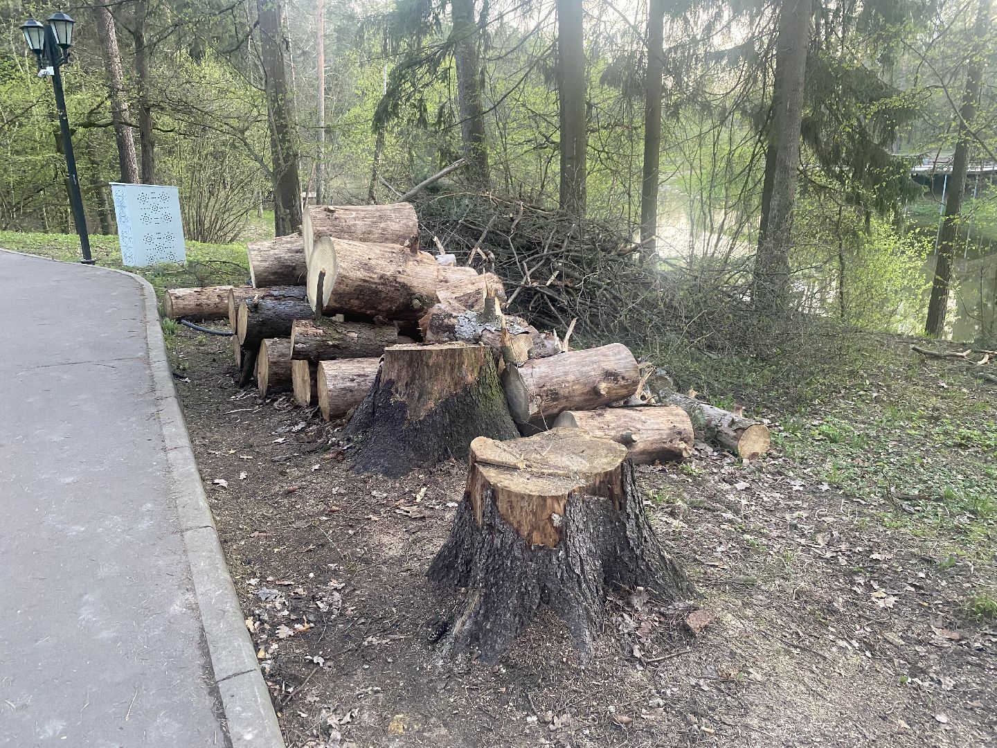 благоустройство территории, выездная администрация, ЗАТО Власиха, встреча администрации с жителями, нам не все равно,