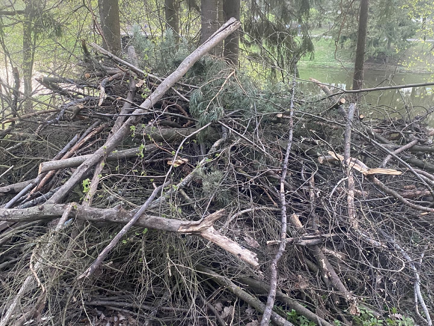 благоустройство территории, выездная администрация, ЗАТО Власиха, встреча администрации с жителями, нам не все равно,