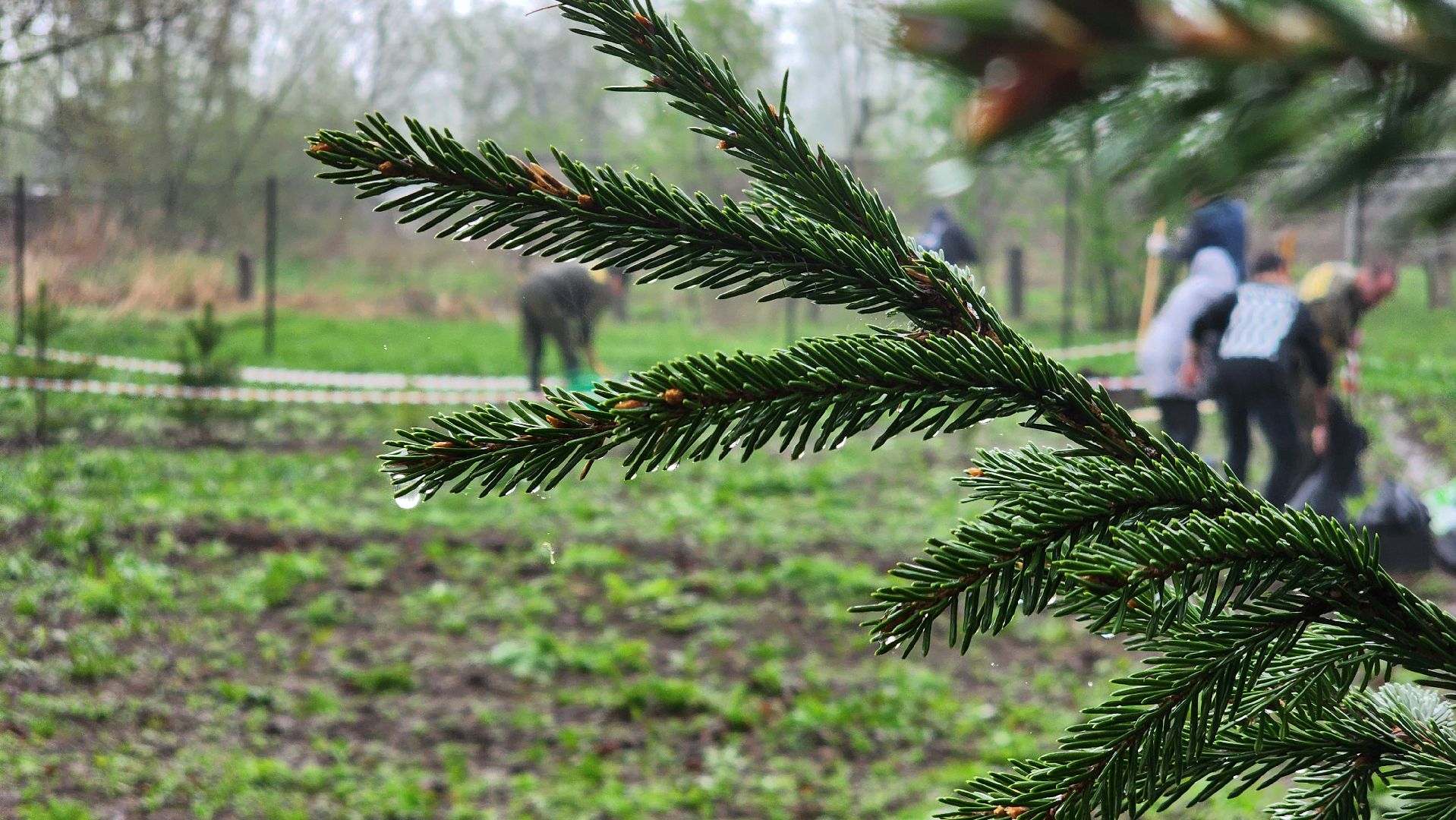 ступино, агрошкола ступино, образование подмосковья, Дендрарий,