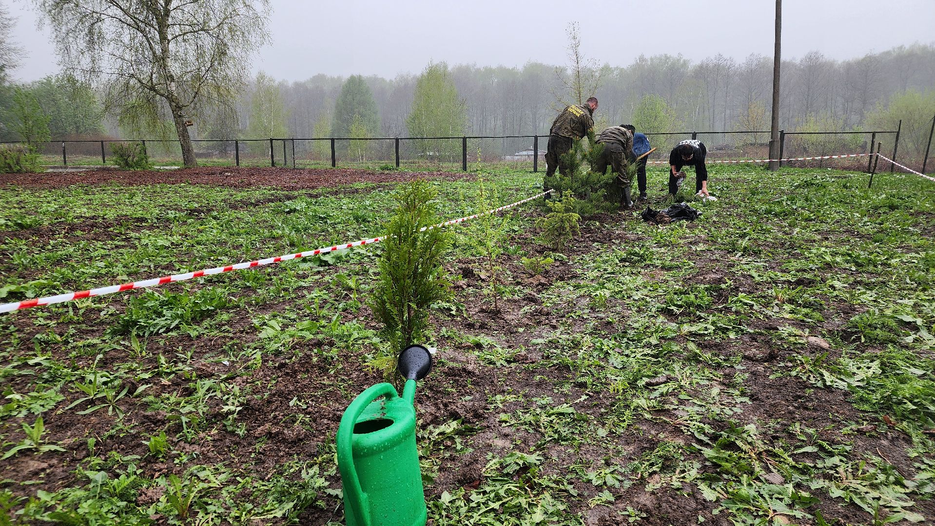 ступино, агрошкола ступино, образование подмосковья, Дендрарий,