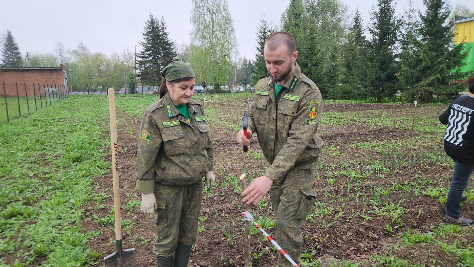 ступино, агрошкола ступино, образование подмосковья, Дендрарий,