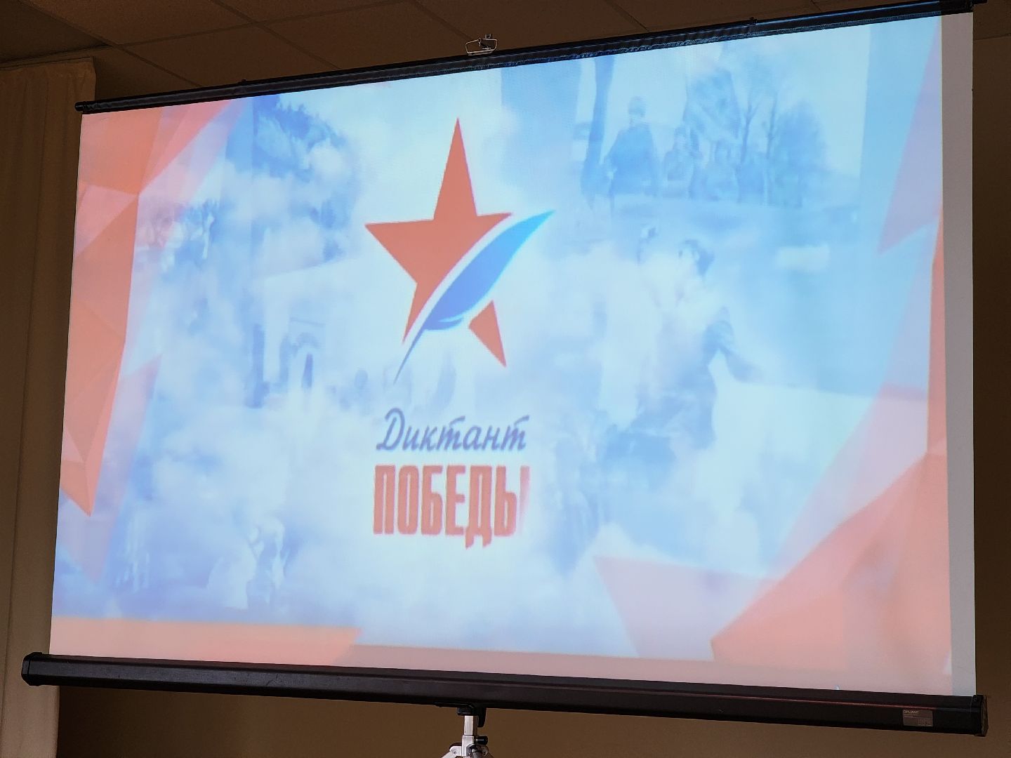 диктант победы, ногинск, школа, общество, образование,