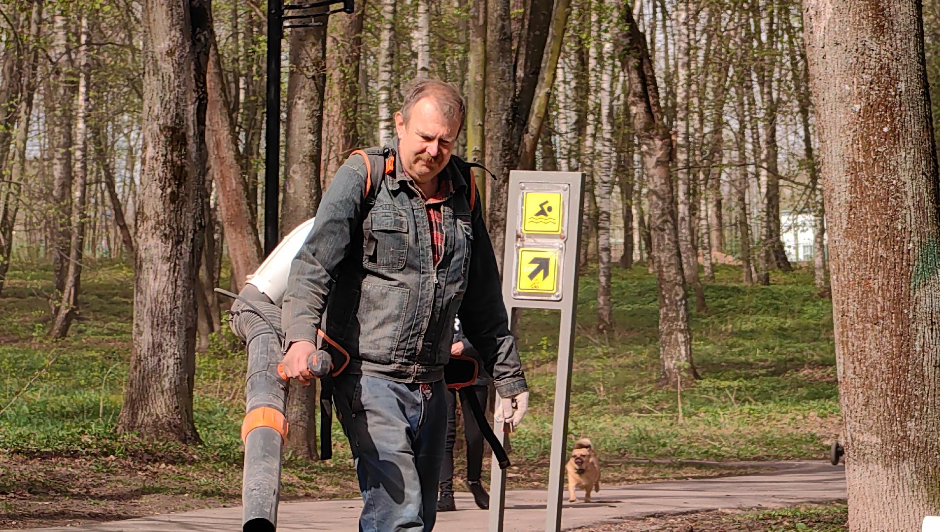 уборка парка, пылесос, листва, благоустровйство,