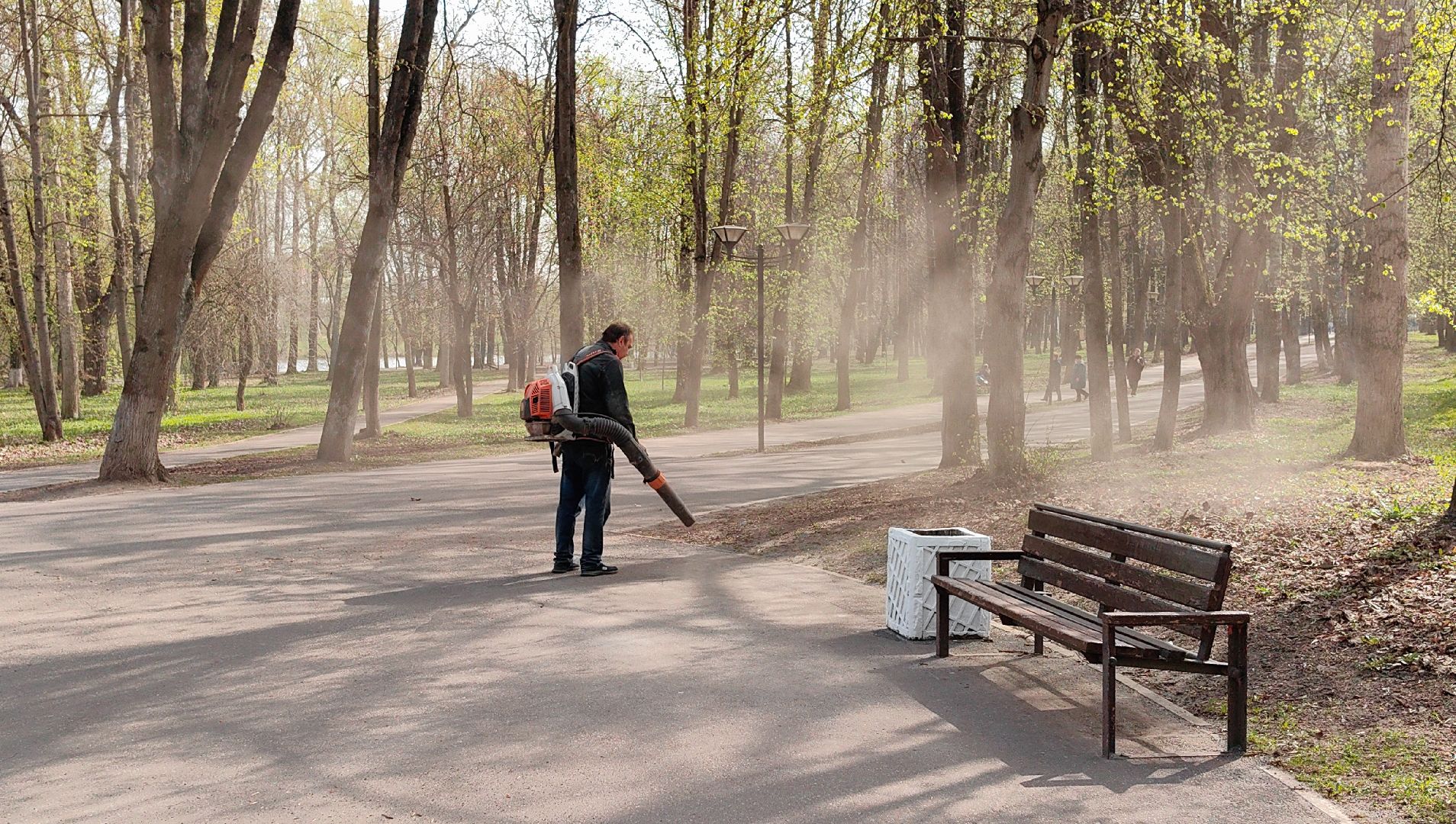 уборка парка, пылесос, листва, благоустровйство,