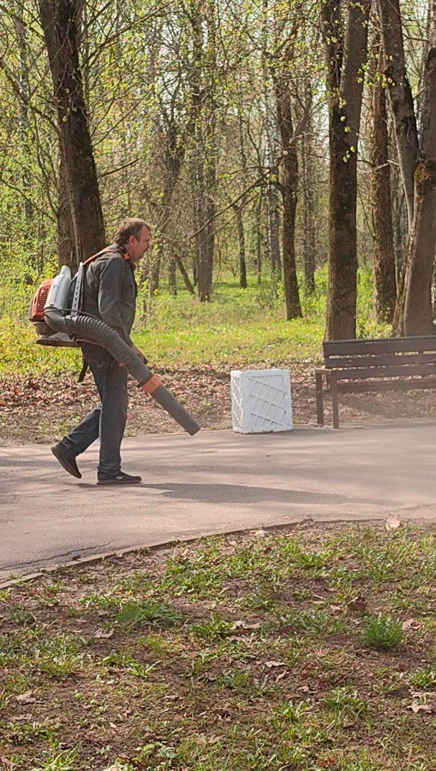 уборка парка, пылесос, листва, благоустровйство,