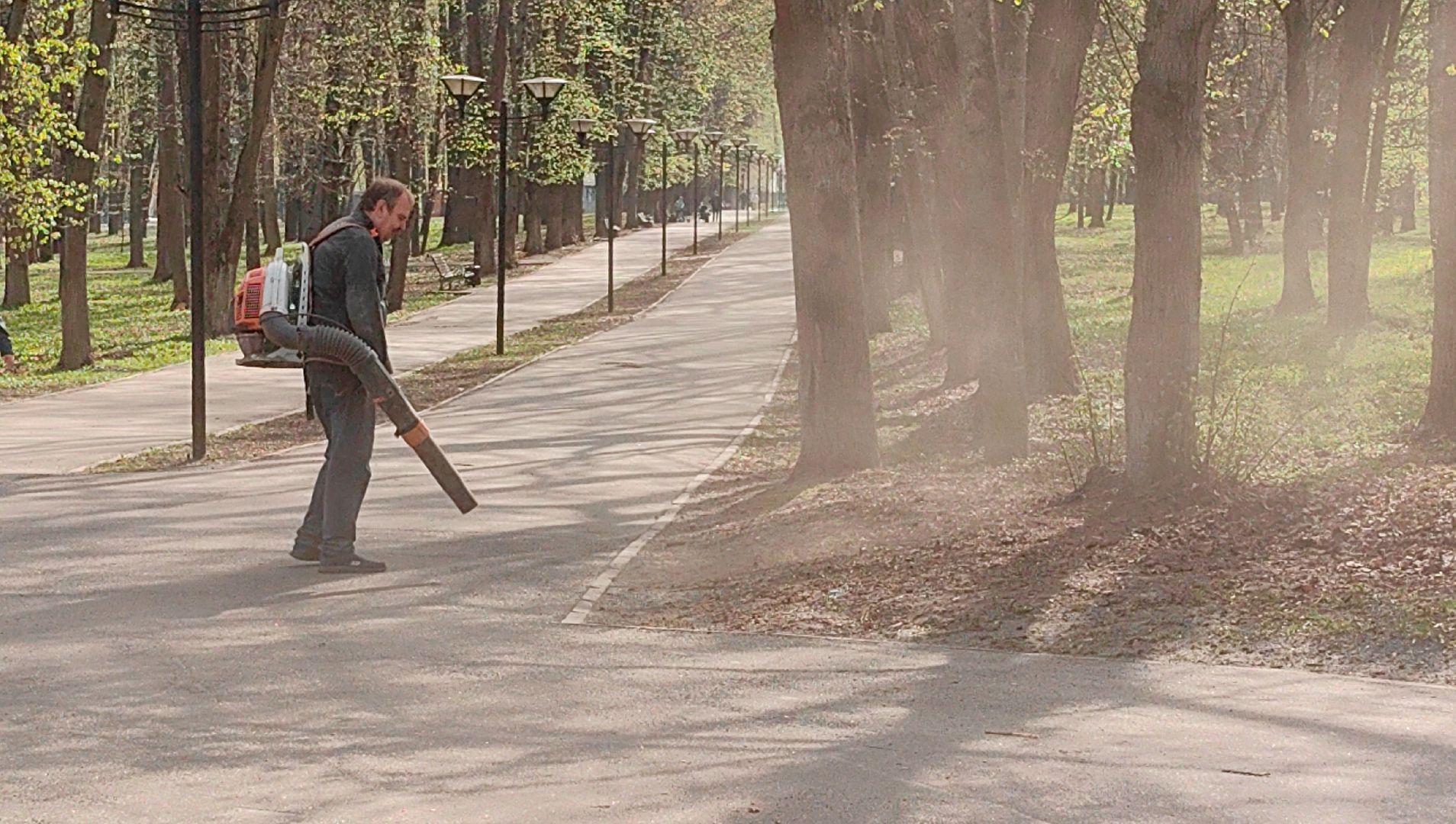 уборка парка, пылесос, листва, благоустровйство,
