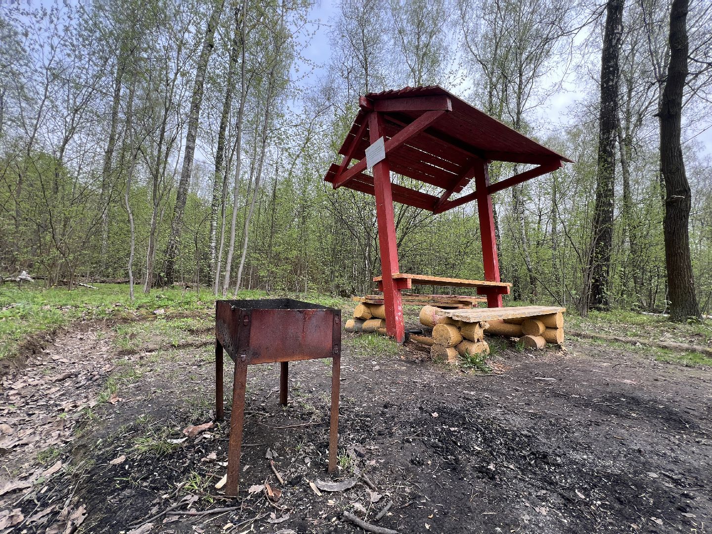 химки, отдых в лесах, пожарная безопасность,