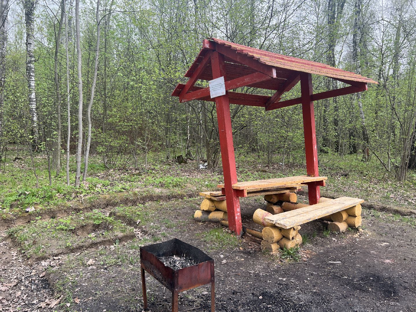 химки, отдых в лесах, пожарная безопасность,