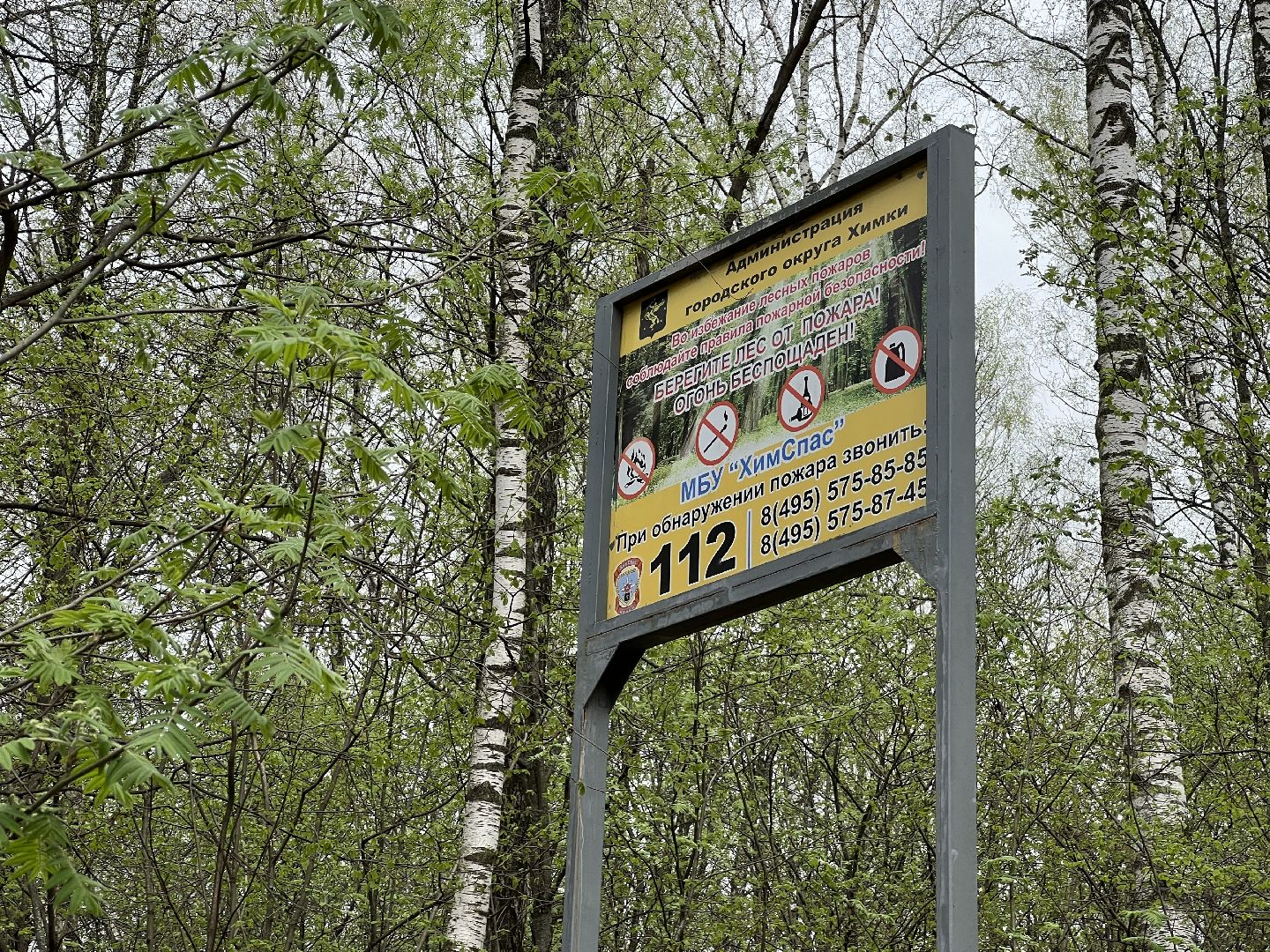 химки, отдых в лесах, пожарная безопасность,