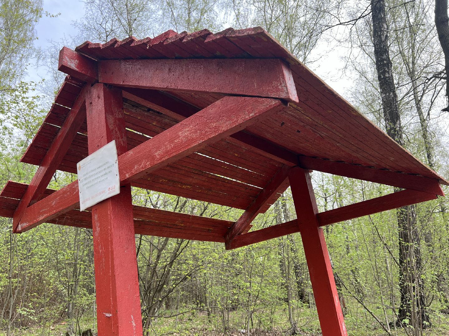 химки, отдых в лесах, пожарная безопасность,