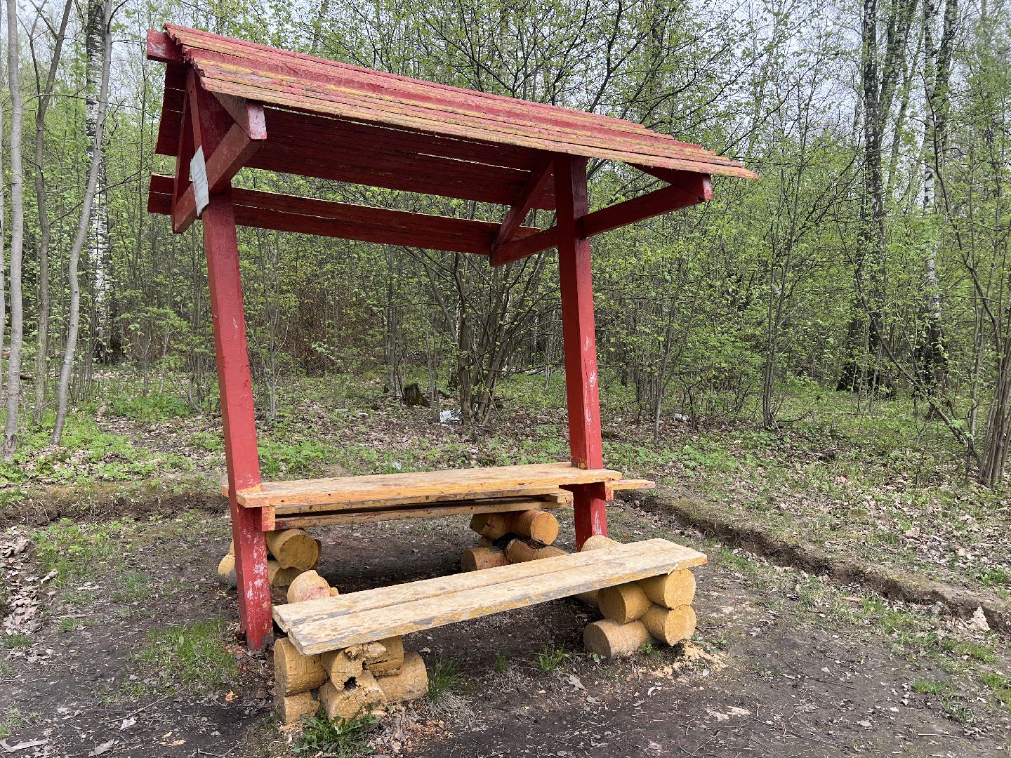 химки, отдых в лесах, пожарная безопасность,