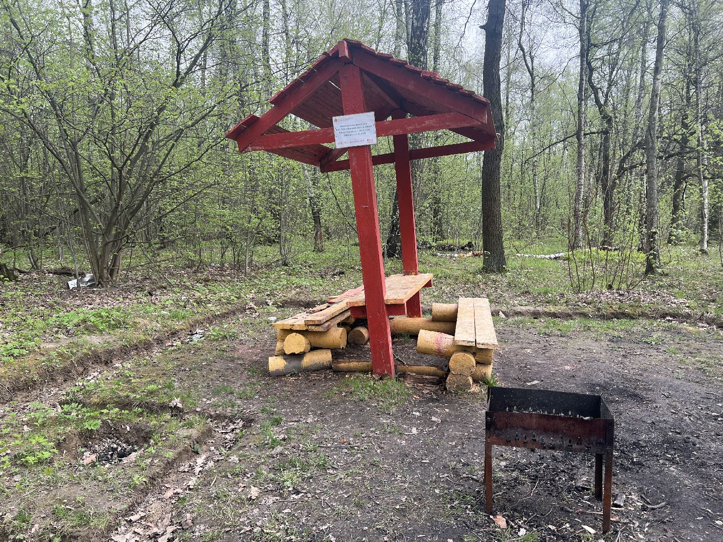 химки, отдых в лесах, пожарная безопасность,