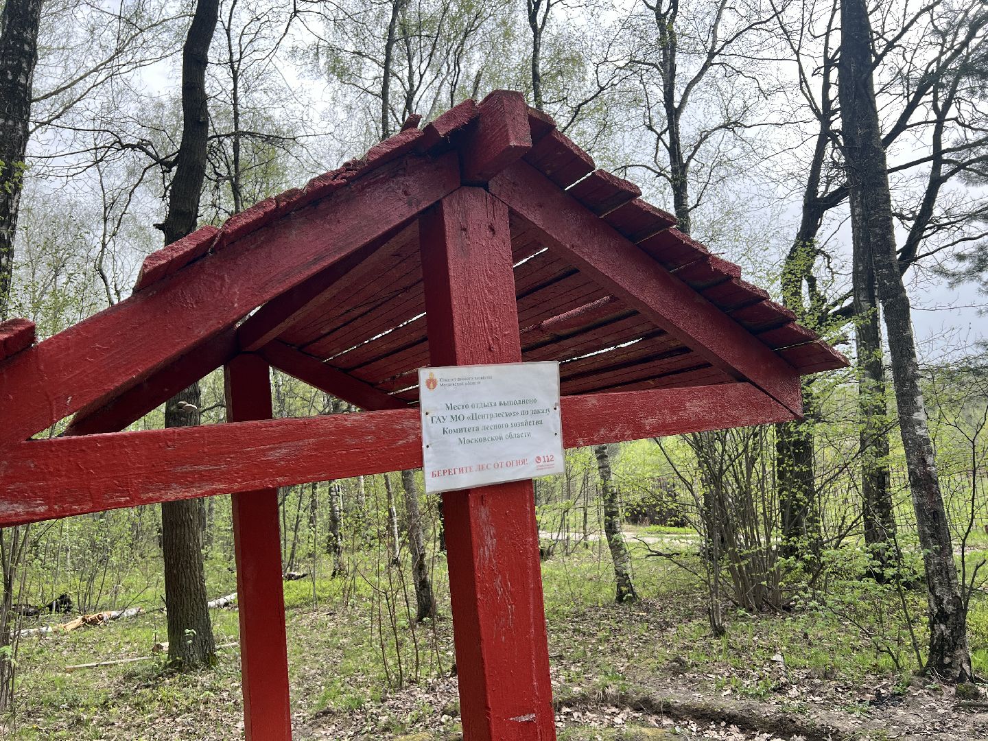 химки, отдых в лесах, пожарная безопасность,