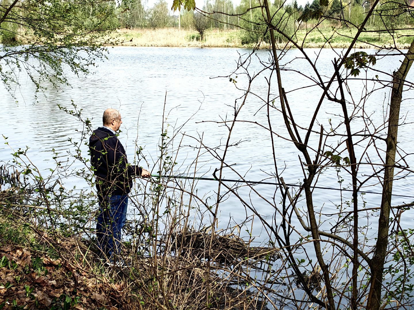 противопожарный режим, штраф, Геопортал Подмосковья, шашлыки,