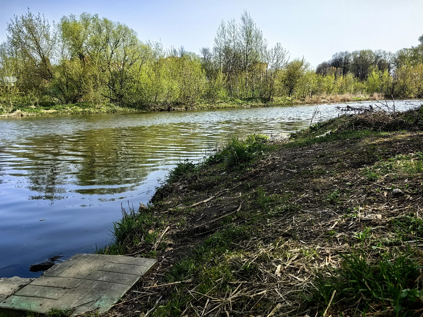 противопожарный режим, штраф, Геопортал Подмосковья, шашлыки,