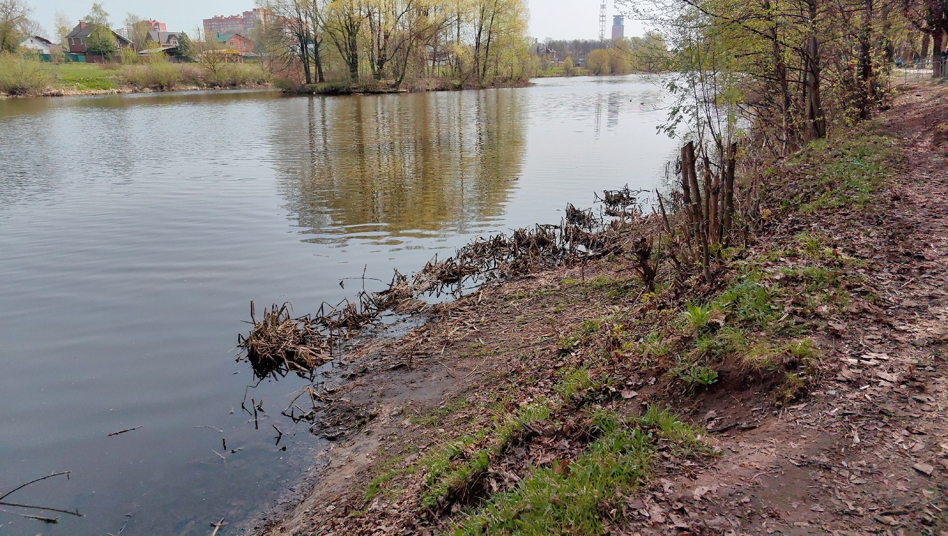 противопожарный режим, штраф, Геопортал Подмосковья, шашлыки,