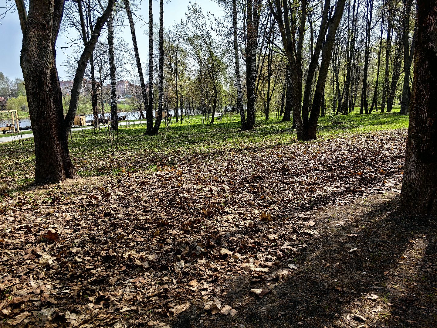 противопожарный режим, штраф, Геопортал Подмосковья, шашлыки,