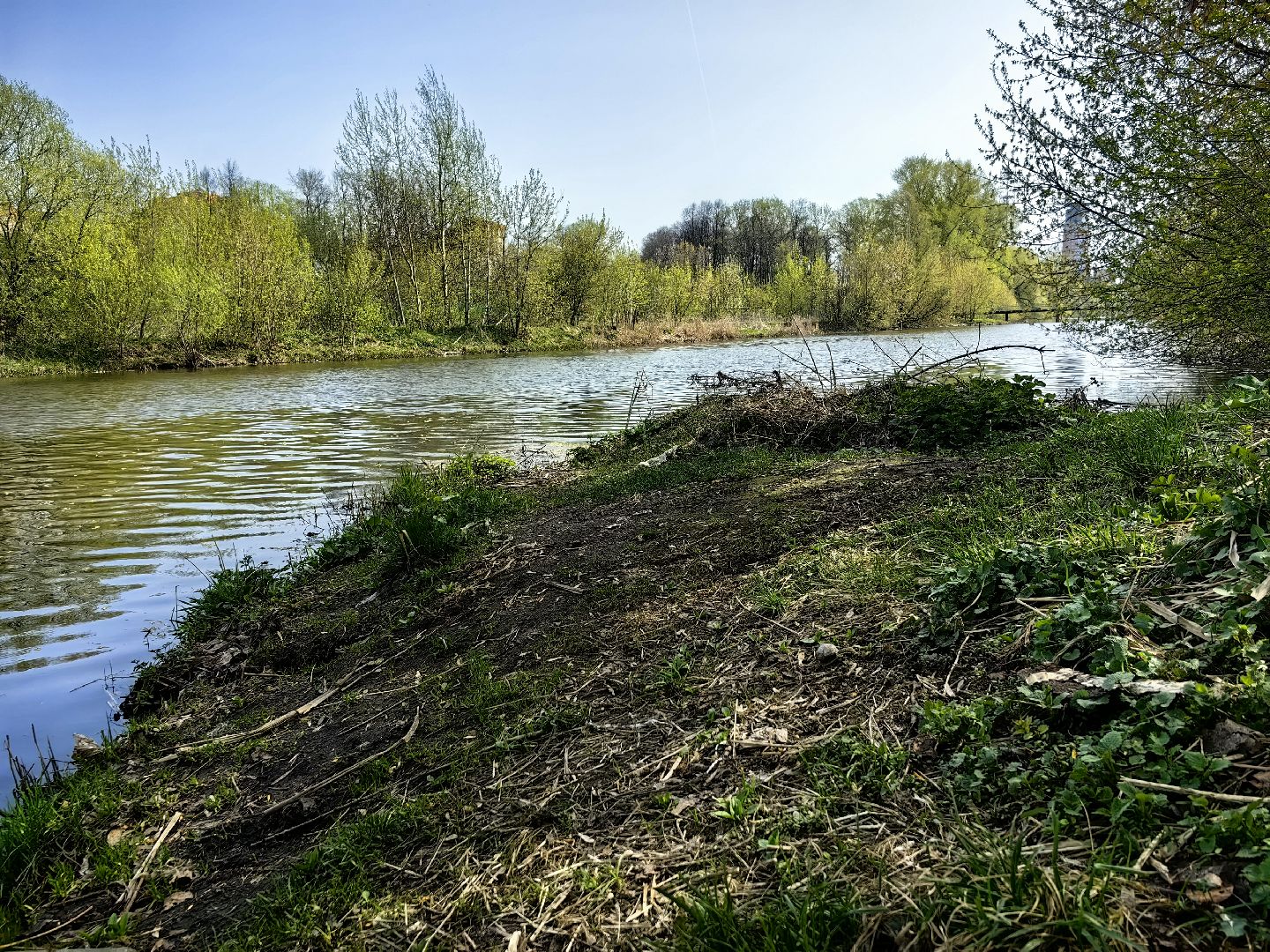 противопожарный режим, штраф, Геопортал Подмосковья, шашлыки,