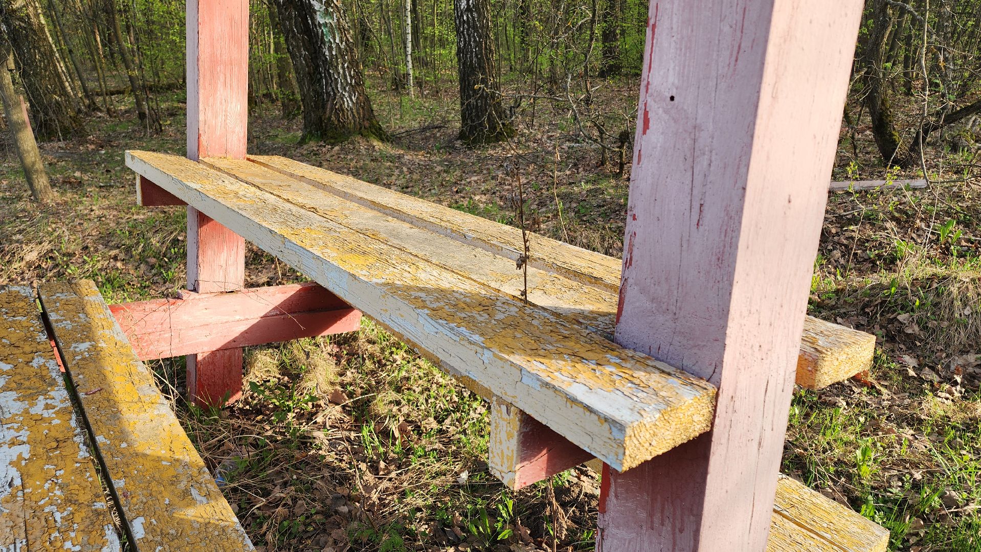 кашира, пикниковые зоны, зона для отдыха, пожарная безопасность, центрлесхоз, комитет лесного хозяйства,