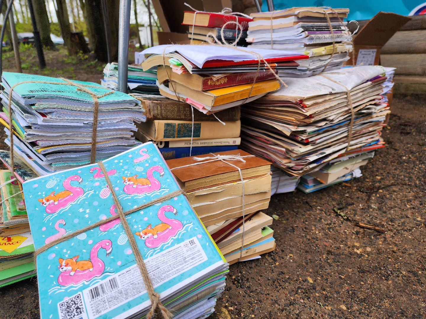 сбор макулатуры, день добрых дел, руза, парк городок, экологическая акция, V единстве za победу, рузский городской округ,