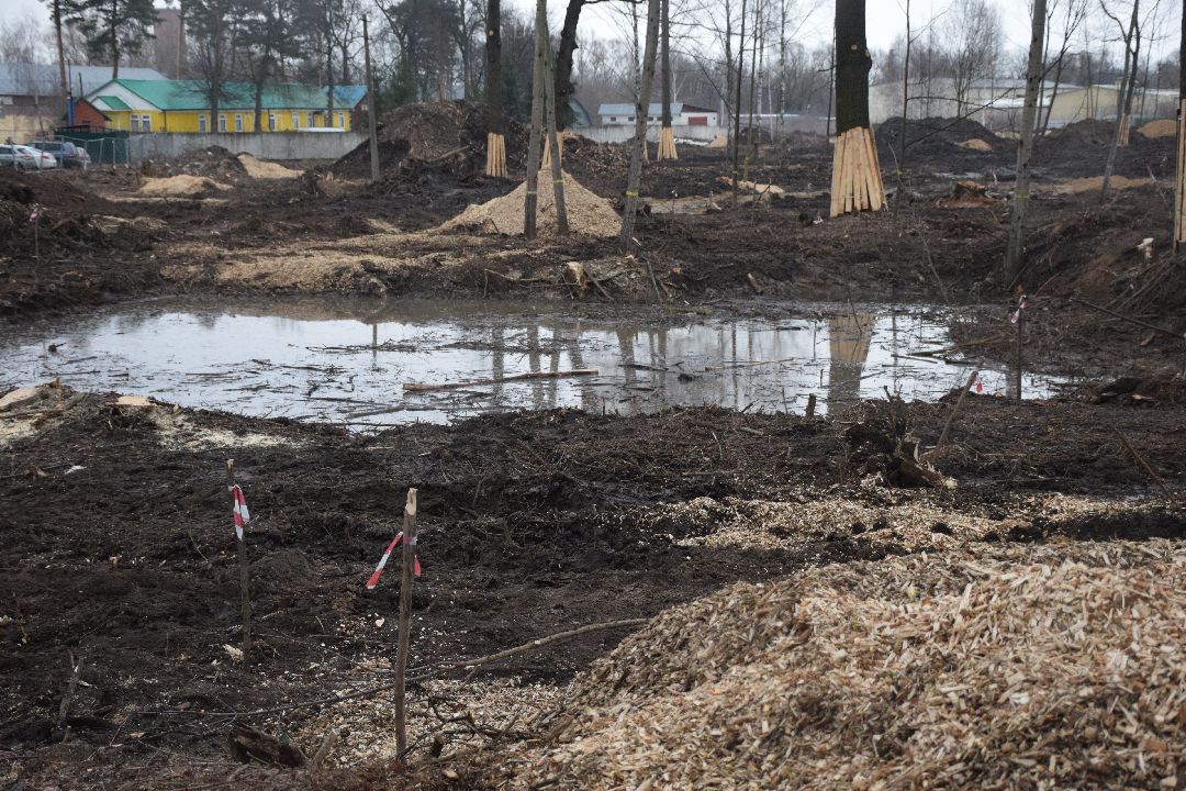 Павловский Посад, городской округ Павловский Посад, парк, благоустройство, Дубрава