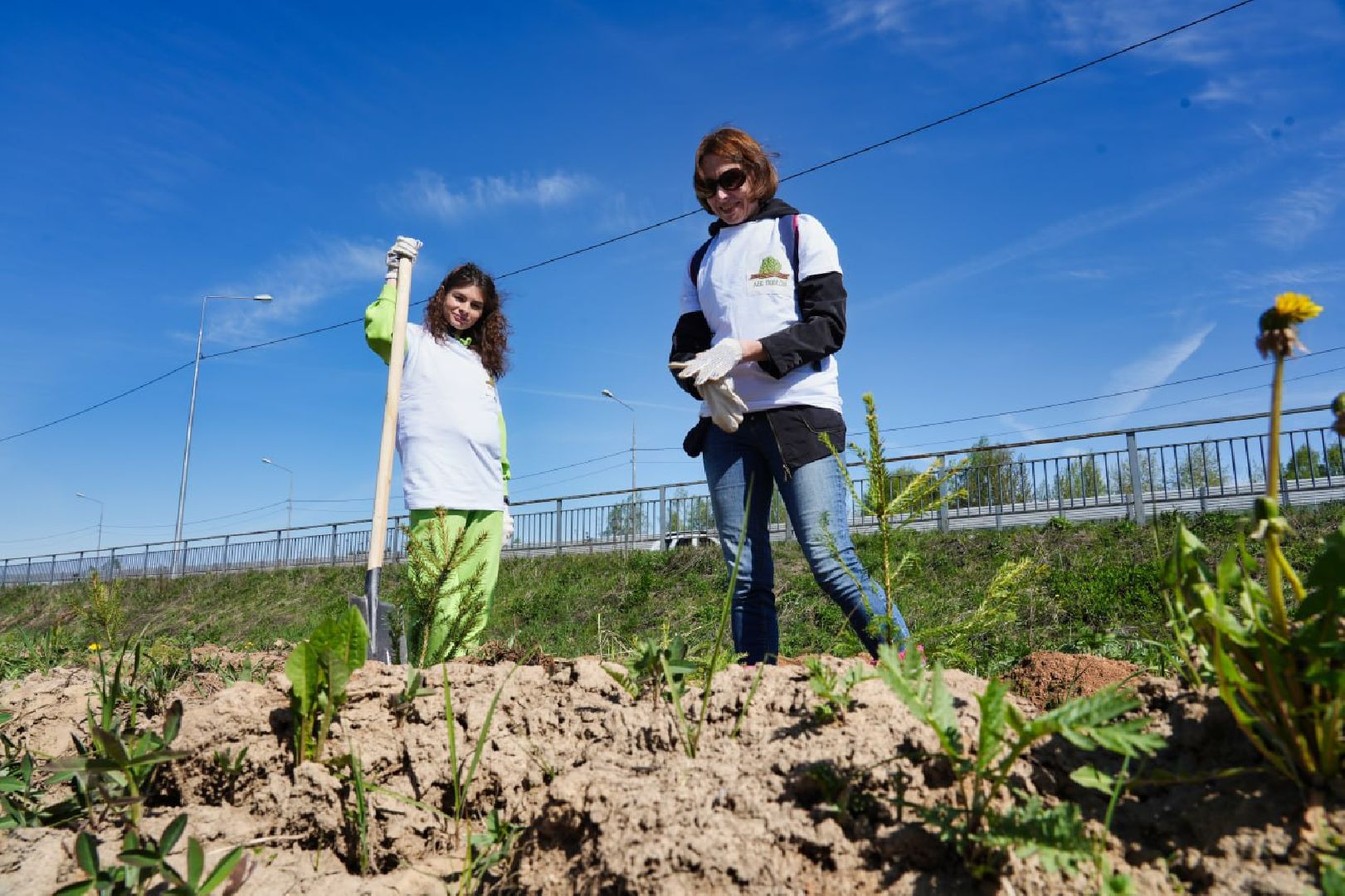 Сергиев Посад, День добрых дел, Акция, Сергиево-Посадский городской округ, Посадка деревьев, Школьники, Образование, Экология, Добро, Дети,