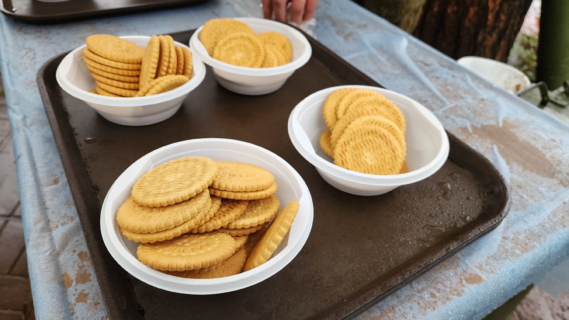 красногорск, день добрых дел, субботник, высадка деревьев,