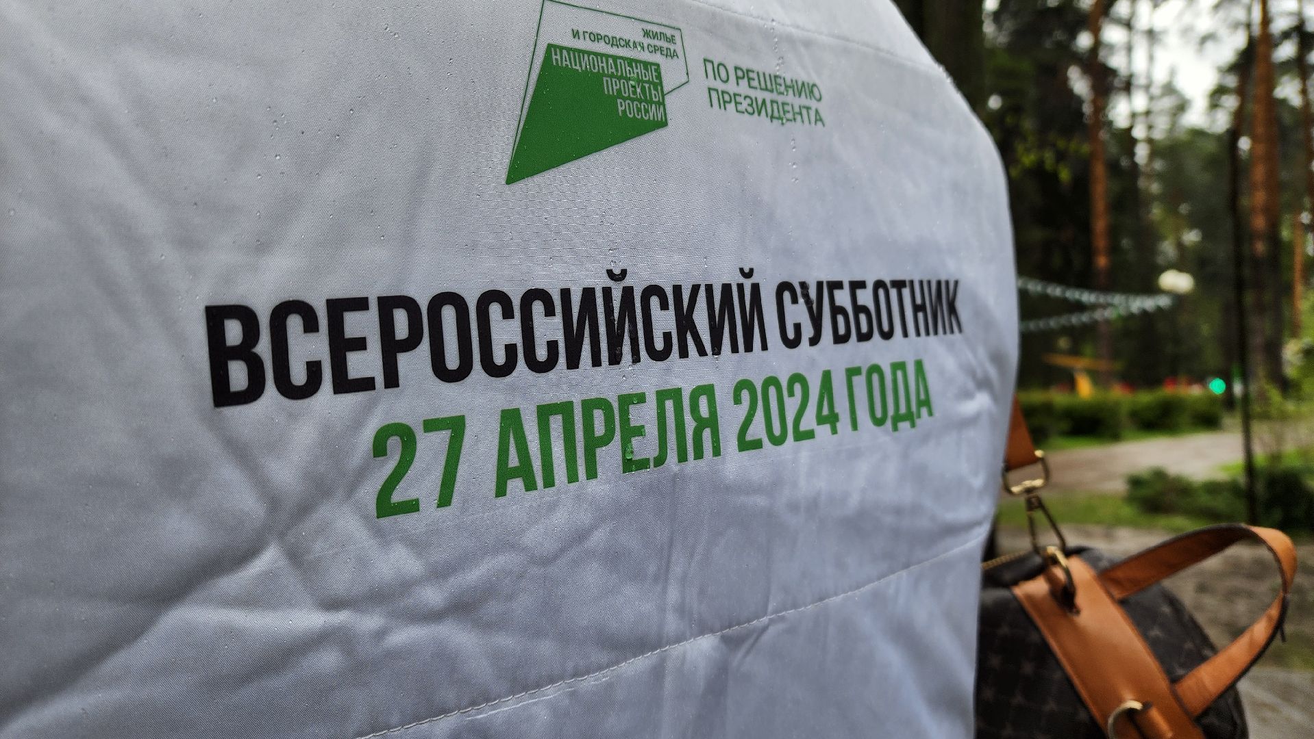 красногорск, день добрых дел, субботник, высадка деревьев,