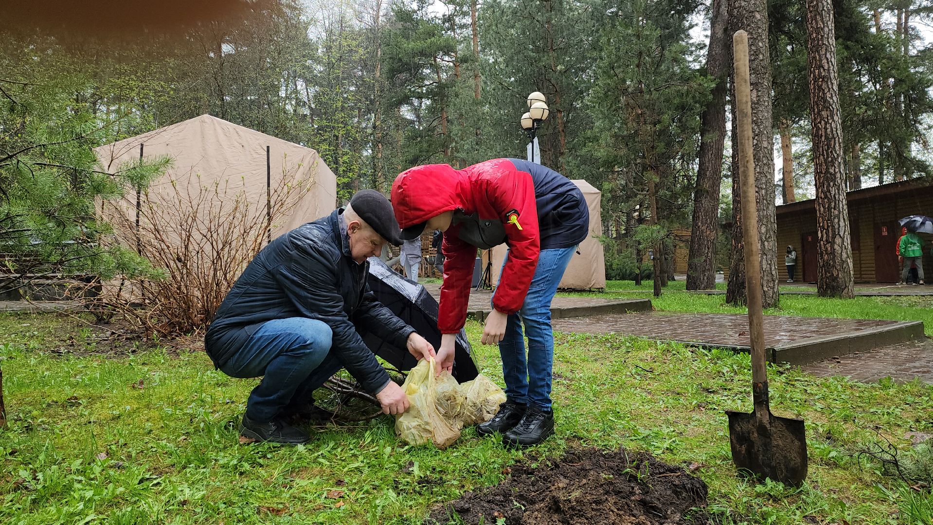 красногорск, день добрых дел, субботник, высадка деревьев,