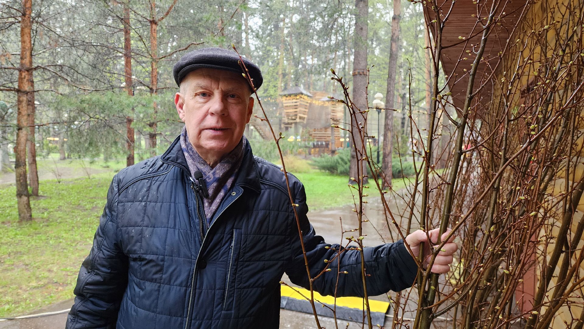 красногорск, день добрых дел, субботник, высадка деревьев,