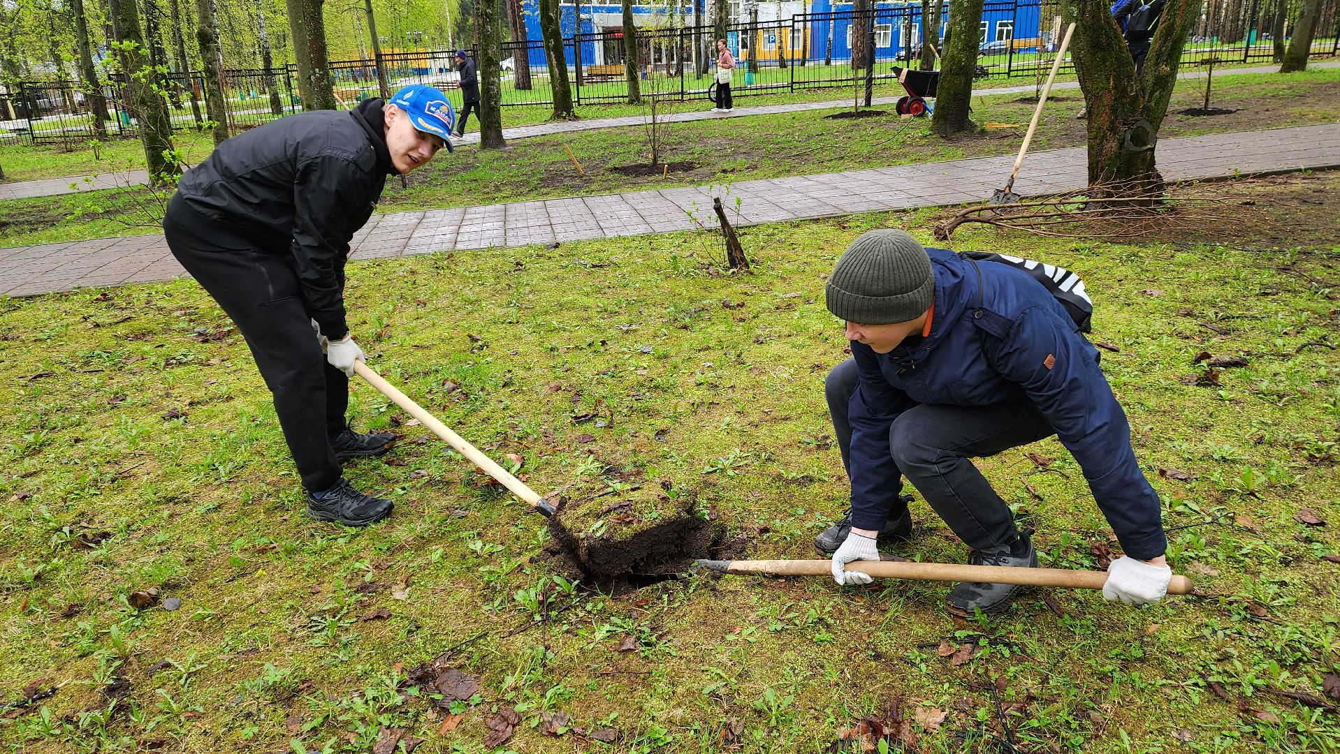 красногорск, день добрых дел, субботник, высадка деревьев,