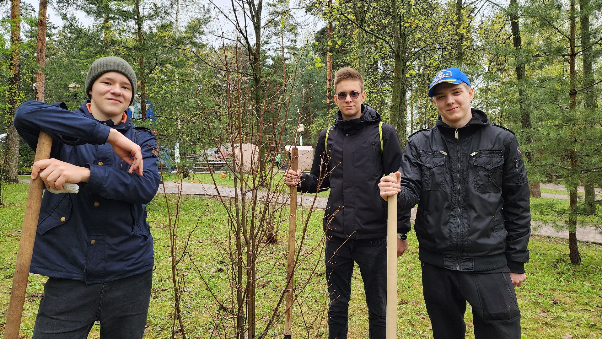красногорск, день добрых дел, субботник, высадка деревьев,