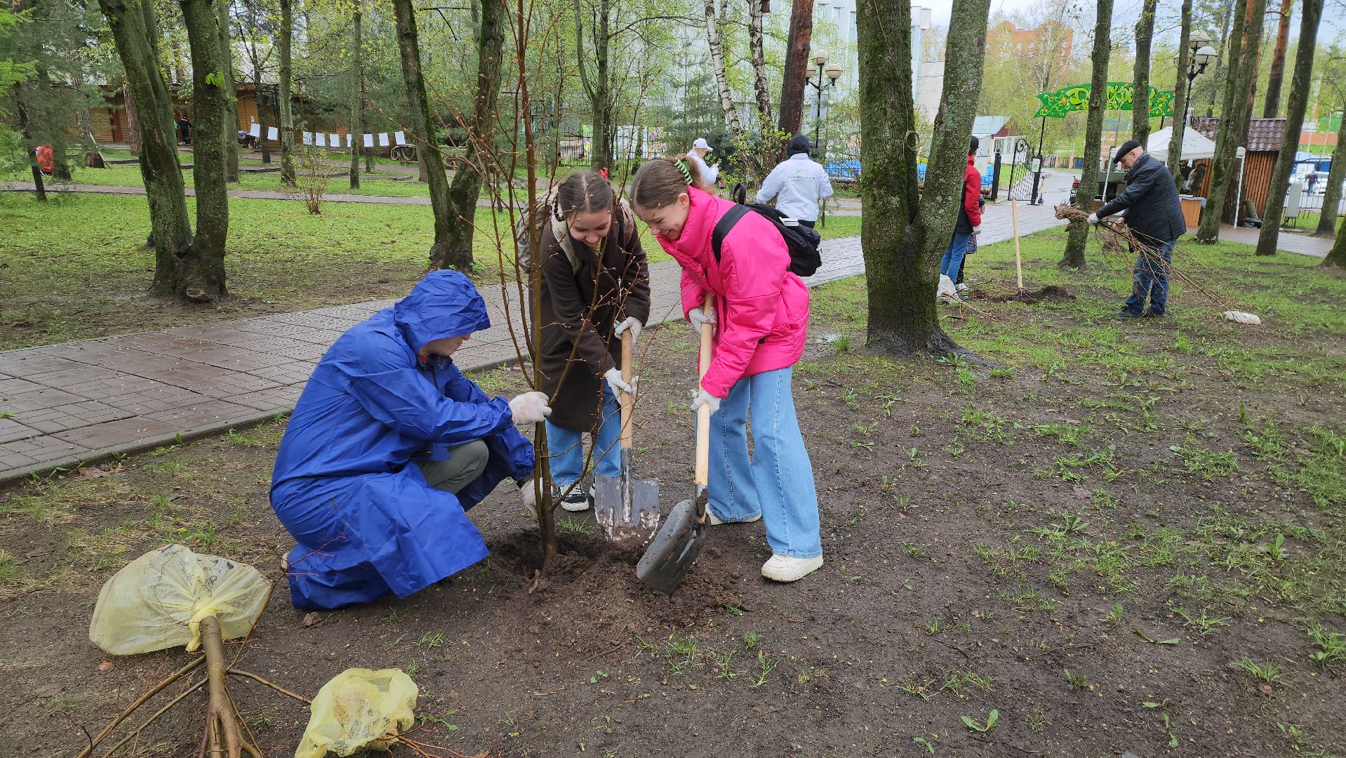красногорск, день добрых дел, субботник, высадка деревьев,