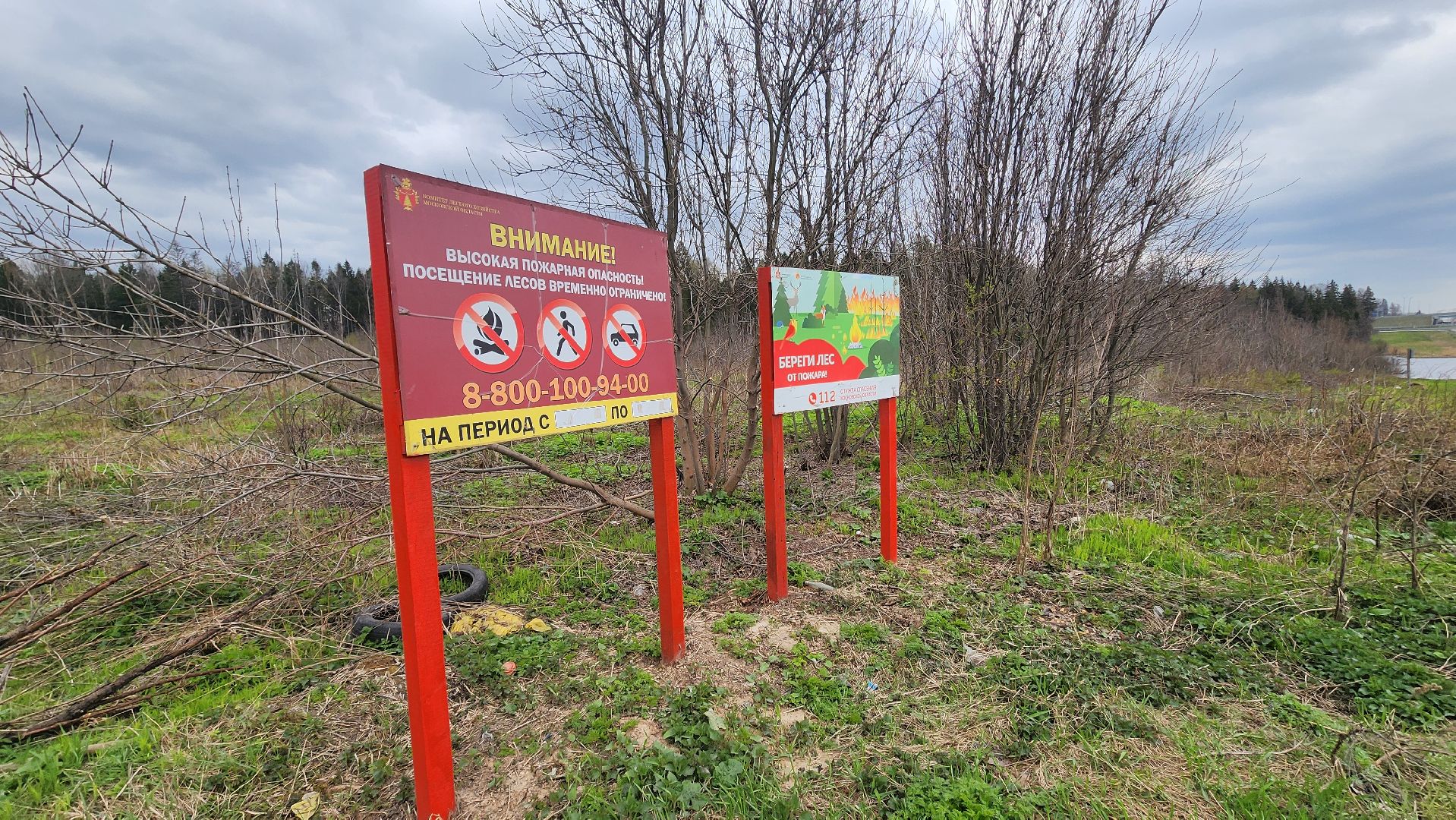 Солнечногорск, Центрлесхоз, шашлыки, экология,