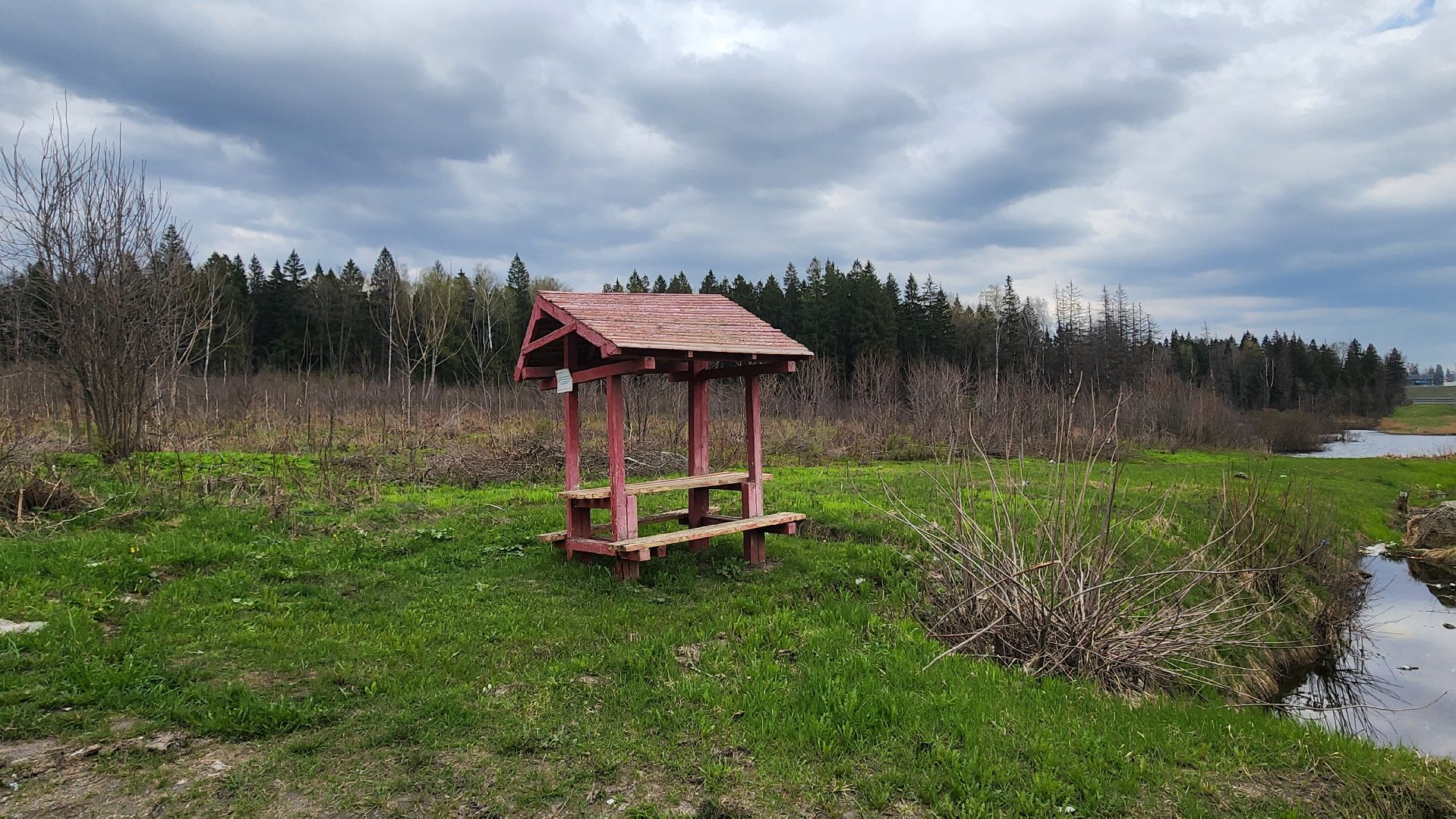 Солнечногорск, Центрлесхоз, шашлыки, экология,