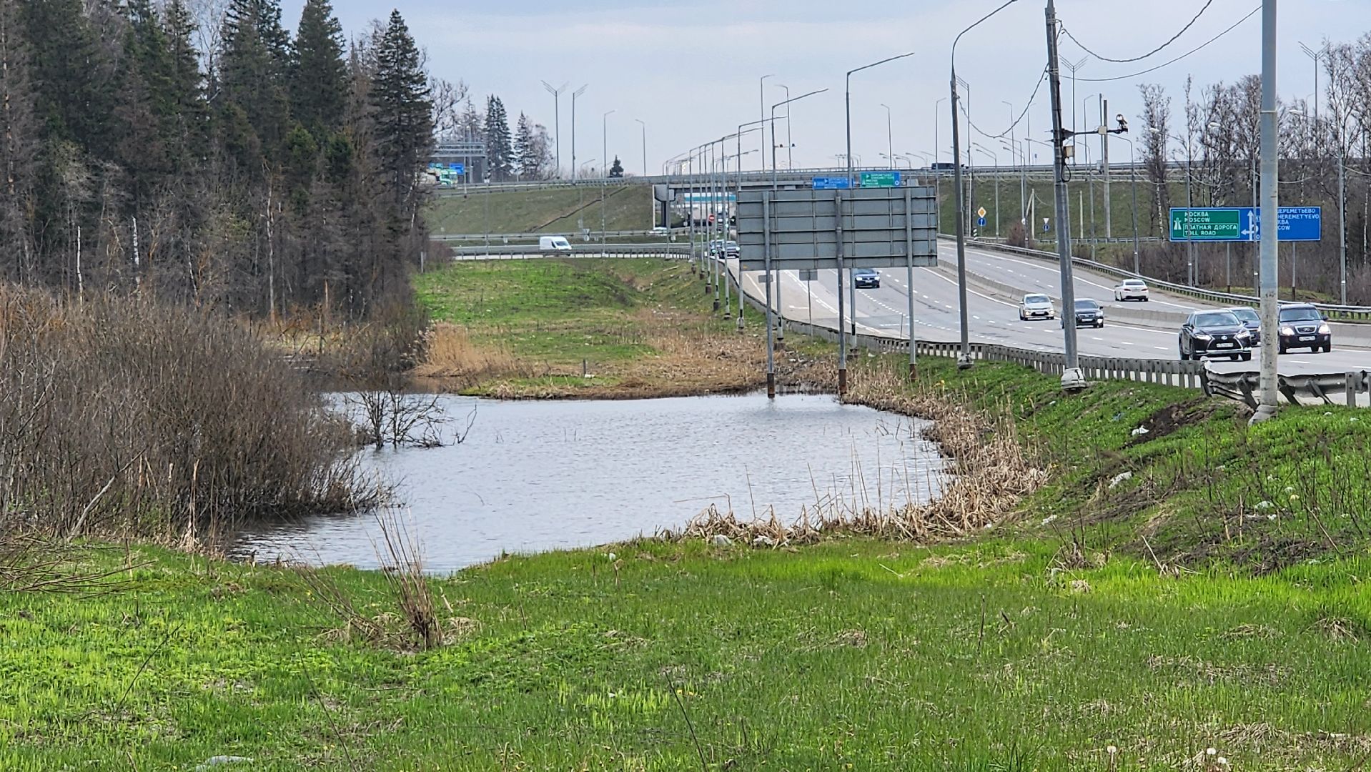 Солнечногорск, Центрлесхоз, шашлыки, экология,