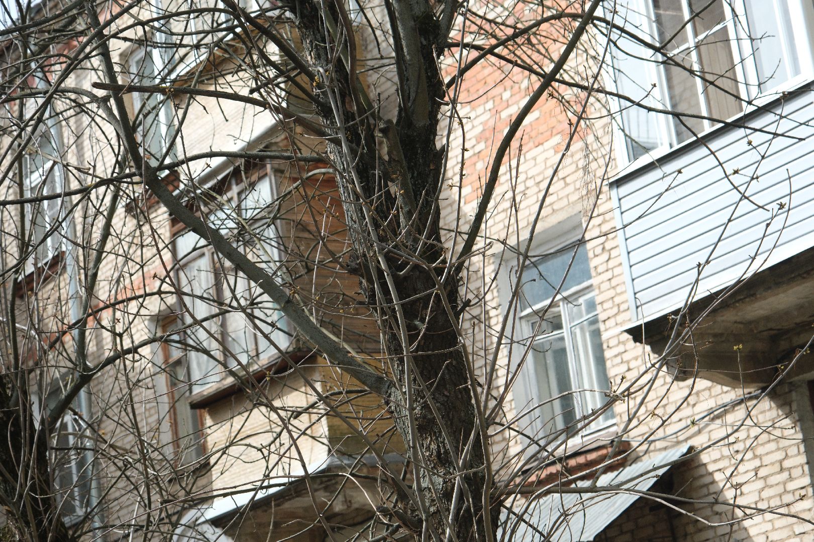 лыткарино, выездная администрация,