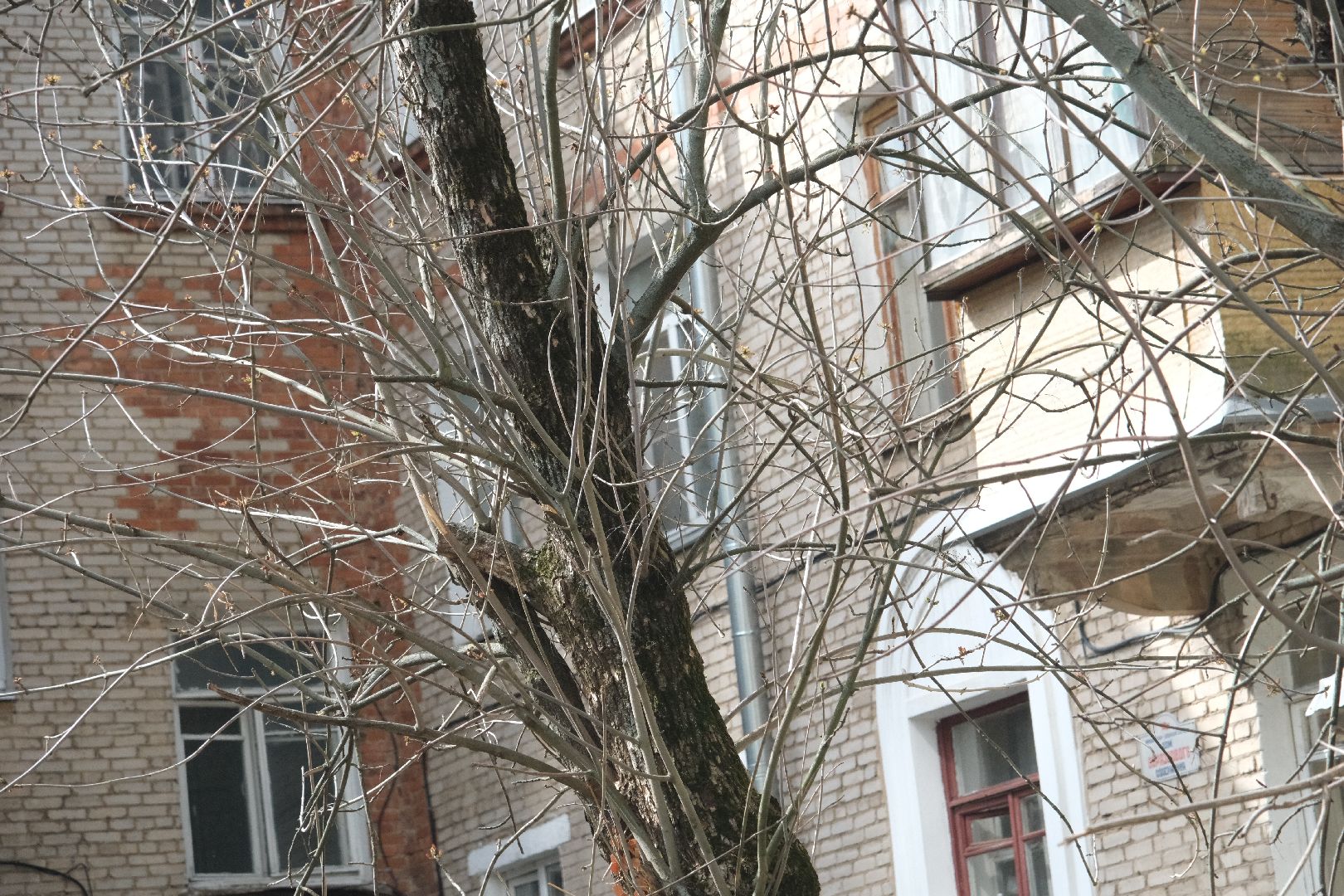 лыткарино, выездная администрация,