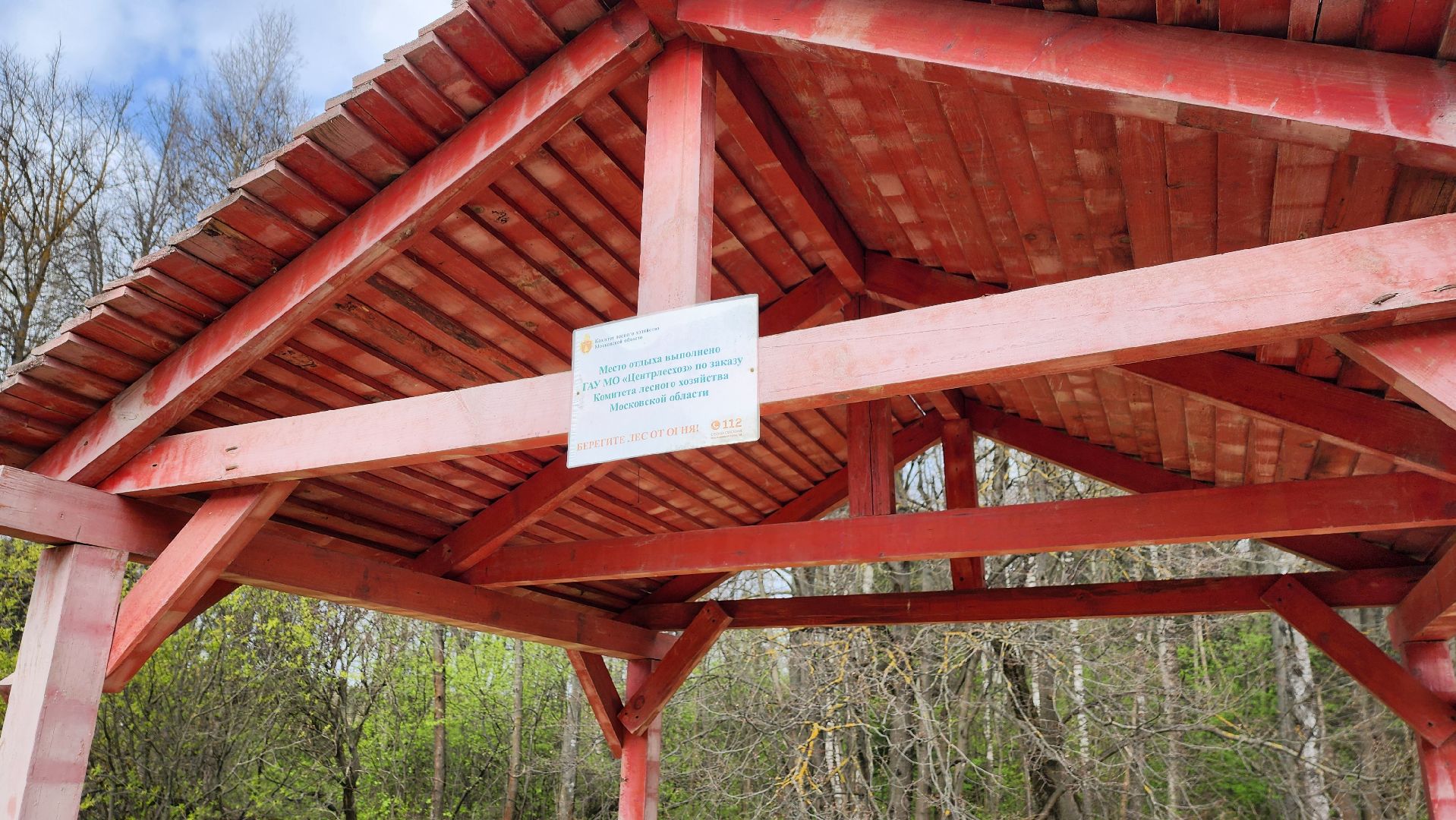 Солнечногорск, Центрлесхоз, экология, пикник,