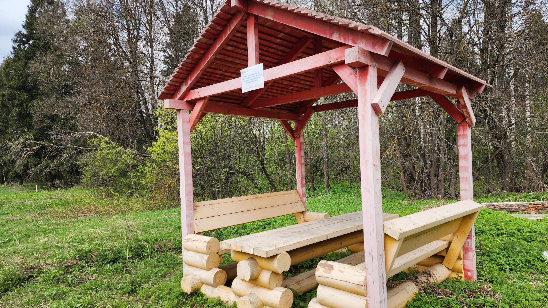 Солнечногорск, Центрлесхоз, экология, пикник,