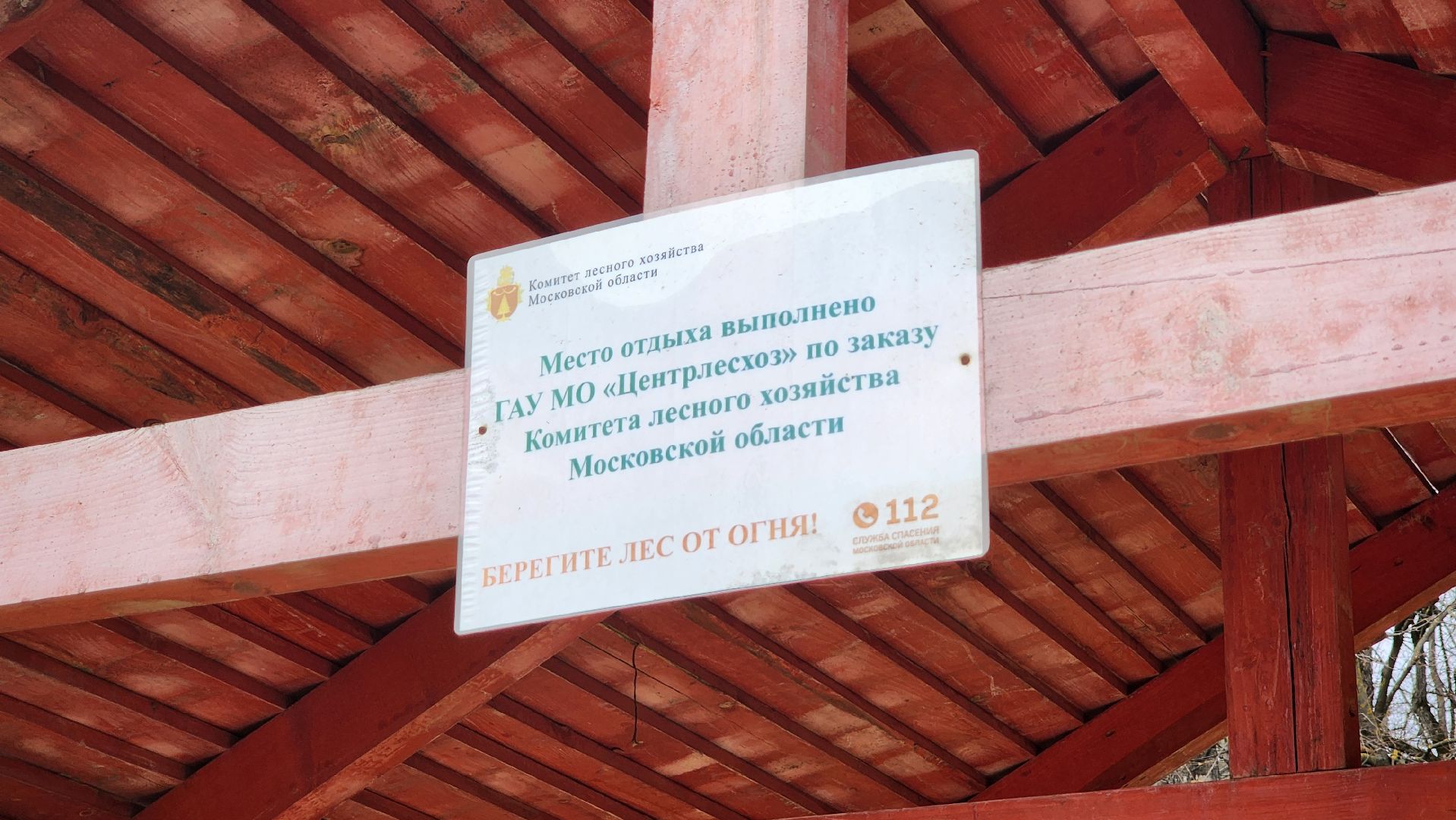 Солнечногорск, Центрлесхоз, экология, пикник,